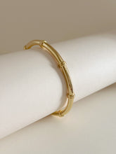Load image into Gallery viewer, PETRA Bangle
